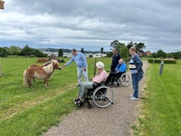 gaatur til hestene joergen c bente hans henning inga avdo1
