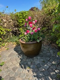 Blomst ved hoved indgang